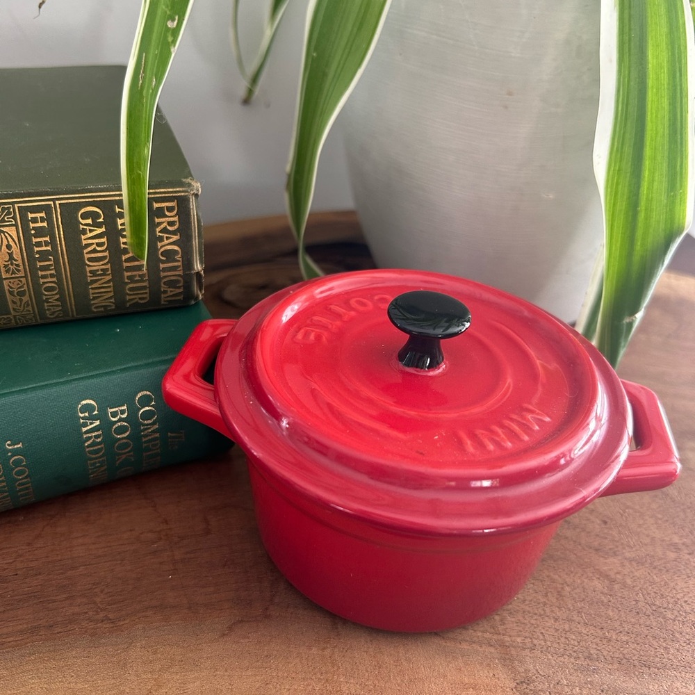 RED Mini Cocotte Round Dutch Oven with Lid